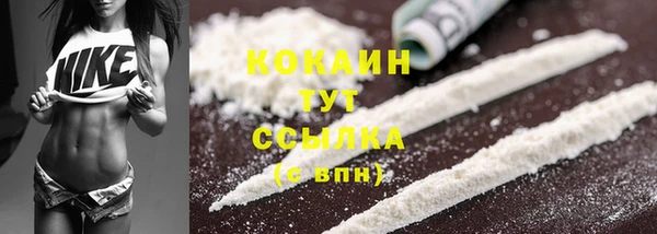шишки Саяногорск