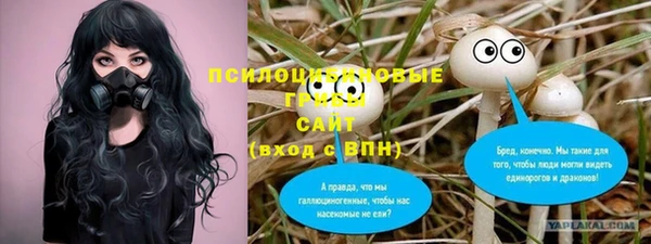 первитин Алексеевка
