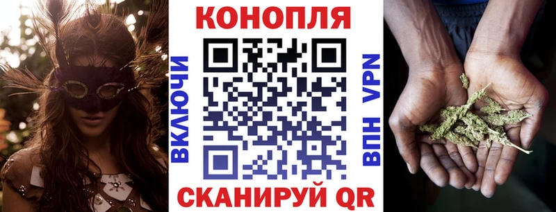 Канабис семена  Калтан 